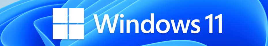 New Windows 11 Pro